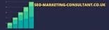 SEO Marketing Consultant